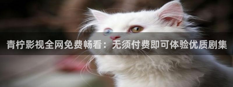 了酷客影院：青檸影視全網免費暢看：無須付費即可體驗優質劇集