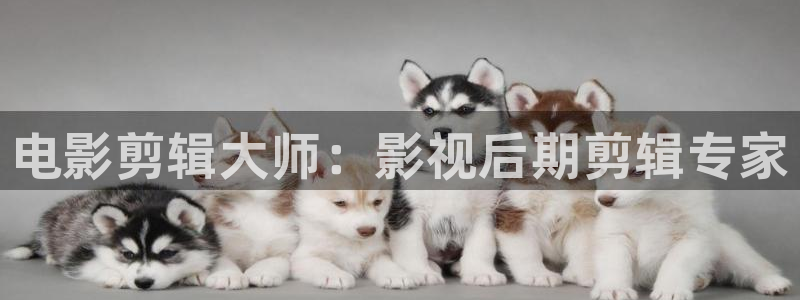 酷客影院在線觀看免費全集：電影剪輯大師：影視后期剪輯專家