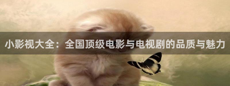 酷客影院手機在線觀看：小影視大全：全國頂級電影與電視劇的品質與魅力
